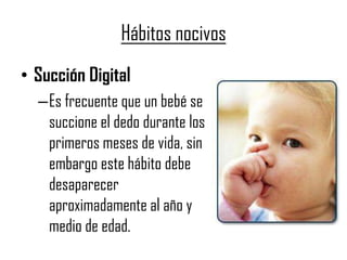 • Succión Digital
–Es frecuente que un bebé se
succione el dedo durante los
primeros meses de vida, sin
embargo este hábito debe
desaparecer
aproximadamente al año y
medio de edad.
Hábitos nocivos
 