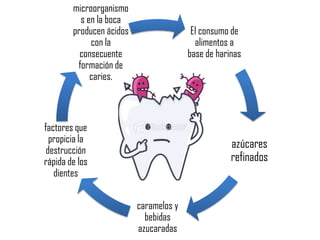 El consumo de
alimentos a
base de harinas
azúcares
refinados
caramelos y
bebidas
azucaradas
factores que
propicia la
destrucción
rápida de los
dientes
microorganismo
s en la boca
producen ácidos
con la
consecuente
formación de
caries.
 