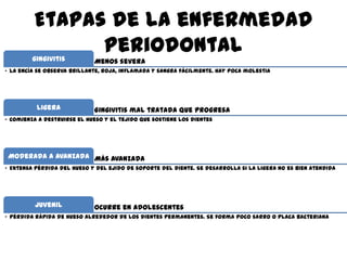 Etapas de la enfermedad
periodontal
Menos severagingivitis
„ La encía se observa brillante, roja, inflamada y sangra fácilmente. Hay poca molestia
Gingivitis mal tratada que progresaligera
„ Comienza a destruirse el hueso y el tejido que sostiene los dientes
Más avanzadaModerada a avanzada
„ Extensa pérdida del hueso y del ejido de soporte del diente. Se desarrolla si la ligera no es bien atendida
Ocurre en adolescentesJuvenil
„ Pérdida rápida de hueso alrededor de los dientes permanentes. Se forma poco sarro o placa bacteriana
 