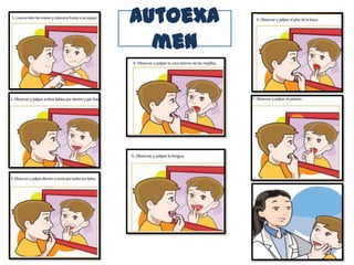 autoexa
men
 