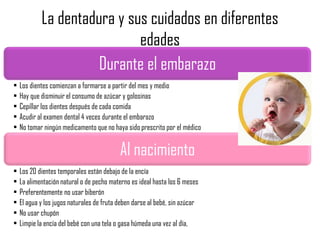 Durante el embarazo
• Los dientes comienzan a formarse a partir del mes y medio
• Hay que disminuir el consumo de azúcar y golosinas
• Cepillar los dientes después de cada comida
• Acudir al examen dental 4 veces durante el embarazo
• No tomar ningún medicamento que no haya sido prescrito por el médico
Al nacimiento
• Los 20 dientes temporales están debajo de la encía
• La alimentación natural o de pecho materno es ideal hasta los 6 meses
• Preferentemente no usar biberón
• El agua y los jugos naturales de fruta deben darse al bebé, sin azúcar
• No usar chupón
• Limpie la encía del bebé con una tela o gasa húmeda una vez al día,
La dentadura y sus cuidados en diferentes
edades
 