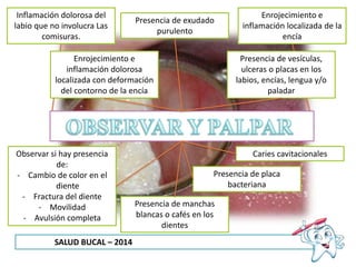 SALUD BUCAL – 2014
Inflamación dolorosa del
labio que no involucra Las
comisuras.
Enrojecimiento e
inflamación dolorosa
localizada con deformación
del contorno de la encía
Presencia de exudado
purulento
Presencia de vesículas,
ulceras o placas en los
labios, encías, lengua y/o
paladar
Enrojecimiento e
inflamación localizada de la
encía
Observar si hay presencia
de:
- Cambio de color en el
diente
- Fractura del diente
- Movilidad
- Avulsión completa
Caries cavitacionales
Presencia de placa
bacteriana
Presencia de manchas
blancas o cafés en los
dientes
 