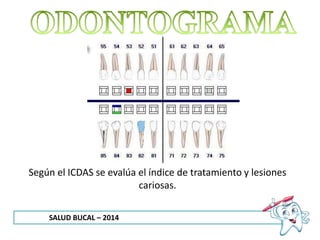 SALUD BUCAL – 2014
Según el ICDAS se evalúa el índice de tratamiento y lesiones
cariosas.
 