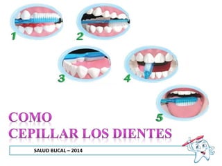 SALUD BUCAL – 2014
 