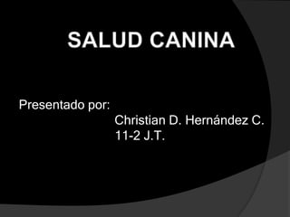 SALUD CANINA Presentado por:                            Christian D. Hernández C.                             11-2 J.T.   