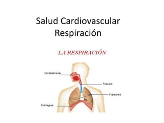Salud Cardiovascular
    Respiración
 