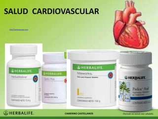 SALUD CARDIOVASCULAR
 Salud Cardiovascular.wmv




                            CAMERINO CASTELLANOS
 