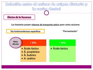 Las bacterias poseen sistemas de transporte activo para varios azúcares
Vía fosfotransferasas específicas “Fermentación”
Mejor
difusión
Mejor
difusión
 