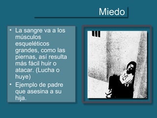 Miedo
• La sangre va a los
músculos
esqueléticos
grandes, como las
piernas, así resulta
más fácil huir o
atacar. (Lucha o
huye)
• Ejemplo de padre
que asesina a su
hija.
 