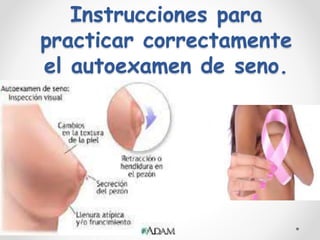 Instrucciones para
practicar correctamente
el autoexamen de seno.
 