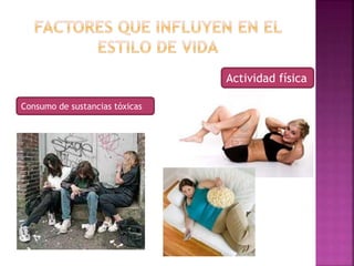 Consumo de sustancias tóxicas 
Actividad física 
 