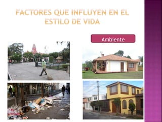 Ambiente 
 