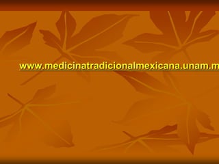 www.medicinatradicionalmexicana.unam.m
 