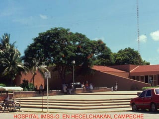 HOSPITAL IMSS-O EN HECELCHAKÁN, CAMPECHE
 
