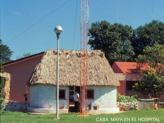CASA MAYA EN EL HOSPITAL
 