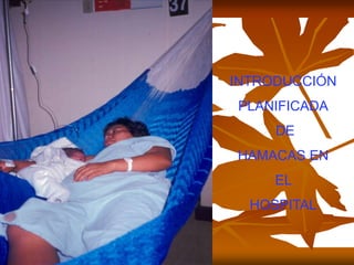INTRODUCCIÓN
PLANIFICADA
     DE
HAMACAS EN
     EL
  HOSPITAL
 