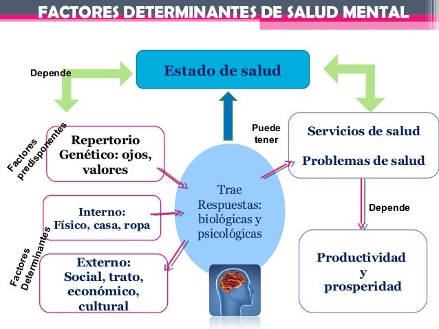 Los programas por la profiláctica del alcoholismo con