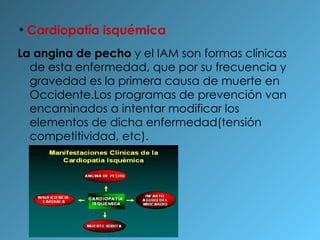 Cardiopatía isquémica La angina de pecho  y el IAM son formas clínicas de esta enfermedad, que por su frecuencia y gravedad es la primera causa de muerte en Occidente.Los programas de prevención van encaminados a intentar modificar los elementos de dicha enfermedad(tensión competitividad, etc). 