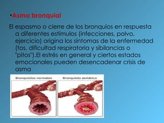 Asma bronquial El espasmo o cierre de los bronquios en respuesta a diferentes estímulos (infecciones, polvo, ejercicio) origina los síntomas de la enfermedad (tos, dificultad respiratoria y sibilancias o "pitos").El estrés en general y ciertos estados emocionales pueden desencadenar crisis de asma 
