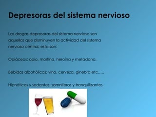 Depresoras del sistema nervioso Las drogas depresoras del sistema nervioso son aquellas que disminuyen la actividad del sistema nervioso central, esta son: Opiáceos: opio, morfina, heroína y metadona. Bebidas alcohólicas: vino, cerveza, ginebra etc….. Hipnóticos y sedantes: somníferos y tranquilizantes 