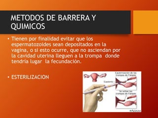METODOS DE BARRERA Y 
QUIMICOS 
• Tienen por finalidad evitar que los 
espermatozoides sean depositados en la 
vagina, o si esto ocurre, que no asciendan por 
la cavidad uterina lleguen a la trompa donde 
tendría lugar la fecundación. 
• ESTERILIZACION 
 
