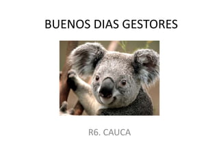 BUENOS DIAS GESTORES
R6. CAUCA
 