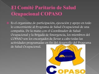   Es el organismo de participación, ejecución y apoyo en todo
    lo concerniente al Programa de Salud Ocupacional de una
    compañía. De la mano con el Coordinador de Salud
    Ocupacional y la Brigada de Emergencia, los miembros del
    COPASO son los encargados de llevar a cabo todas las
    actividades programadas en fin del desarrollo del Programa
    de Salud Ocupacional.
 
