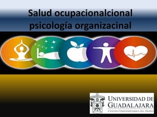 Salud ocupacionalcional
psicología organizacinal
 