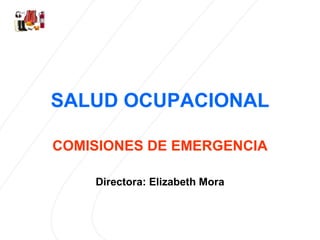 SALUD OCUPACIONAL COMISIONES DE EMERGENCIA Directora: Elizabeth Mora 