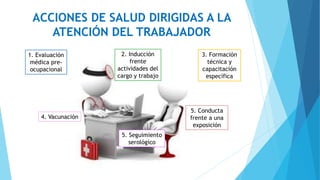 1. Evaluación
médica pre-
ocupacional
2. Inducción
frente
actividades del
cargo y trabajo
3. Formación
técnica y
capacitación
específica
4. Vacunación
ACCIONES DE SALUD DIRIGIDAS A LA
ATENCIÓN DEL TRABAJADOR
5. Seguimiento
serológico
5. Conducta
frente a una
exposición
 