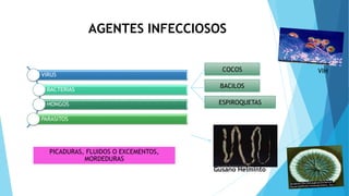 AGENTES INFECCIOSOS
VIRUS
BACTERIAS
HONGOS
PARASITOS
COCOS
BACILOS
ESPIROQUETAS
VIH
Gusano Helminto
PICADURAS, FLUIDOS O EXCEMENTOS,
MORDEDURAS
 