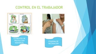 CONTROL EN EL TRABAJADOR
ELEMENTOS DE
PROTECCION
INDIVIDUAL
ESQUEMA DE
VACUNACION
 