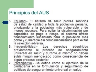 Principios del AUS
 