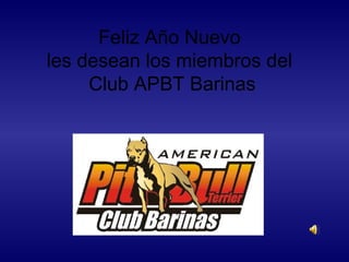 Feliz Año Nuevo  les desean los miembros del  Club APBT Barinas 