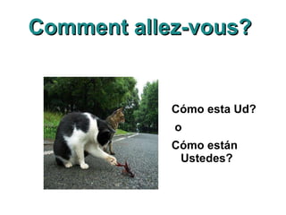 Comment allez-vous?  Cómo esta Ud? o  Cómo  están  Ustedes? 