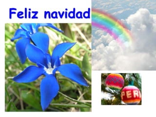 Feliz navidad
 