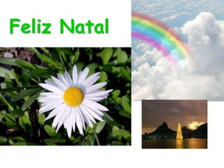 Feliz Natal
 
