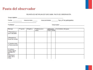 Pauta del observador
 