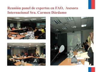 Reunión panel de expertos en FAO, Asesora
Internacional Sra. Carmen Dárdamo
 