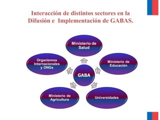 Interacción de distintos sectores en la
Difusión e Implementación de GABAS.
 