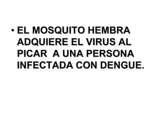 • EL MOSQUITO HEMBRA
  ADQUIERE EL VIRUS AL
  PICAR A UNA PERSONA
  INFECTADA CON DENGUE.
 