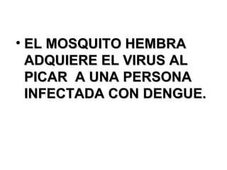 EL MOSQUITO HEMBRA ADQUIERE EL VIRUS AL PICAR  A UNA PERSONA INFECTADA CON DENGUE. 