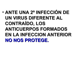 ANTE UNA 2º INFECCIÓN DE UN VIRUS DIFERENTE AL CONTRAÍDO, LOS ANTICUERPOS FORMADOS EN LA INFECCION ANTERIOR  NO NOS PROTEGE. 