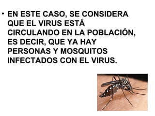 EN ESTE CASO, SE CONSIDERA QUE EL VIRUS ESTÁ CIRCULANDO EN LA POBLACIÓN, ES DECIR, QUE YA HAY PERSONAS Y MOSQUITOS INFECTADOS CON EL VIRUS. 