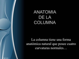 Salud postural - Gym Prev | PPSX