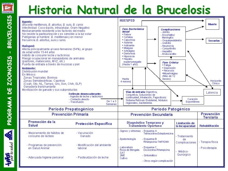 cadena epidemiologica poliomelitis salud publica ii cadena epidemiologica poliomelitis salud publica ii