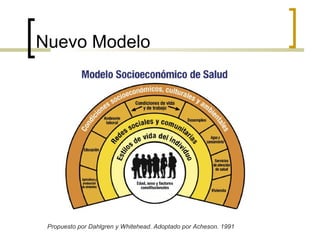 Nuevo Modelo
Propuesto por Dahlgren y Whitehead. Adoptado por Acheson. 1991
 
