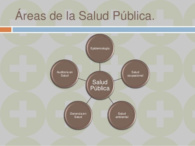 Salud publica