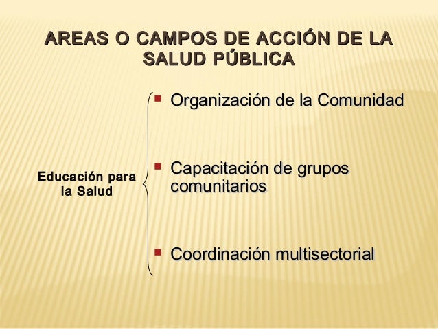 Campos De Accion De La Salud Publica es.slideshare.net