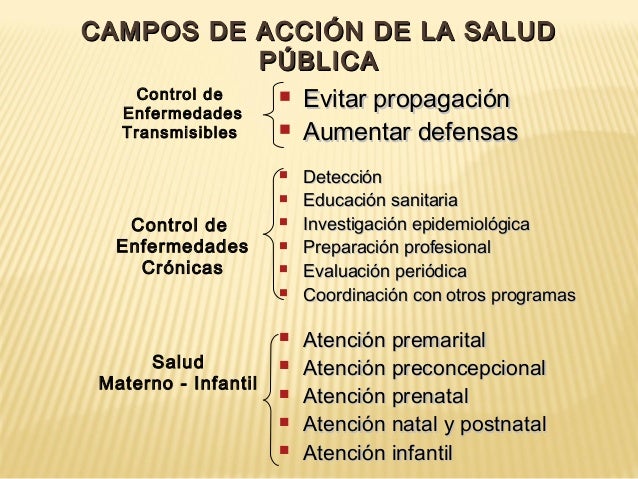 Campos De Accion De La Salud Publica